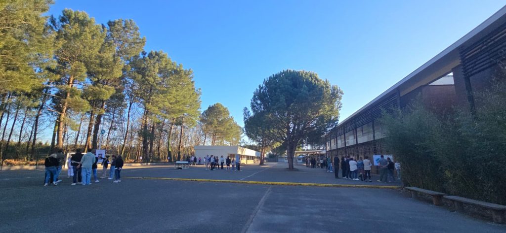 PHOTO-2025-04-01-20-11-53 PHOTO-2025-04-01-20-11-53